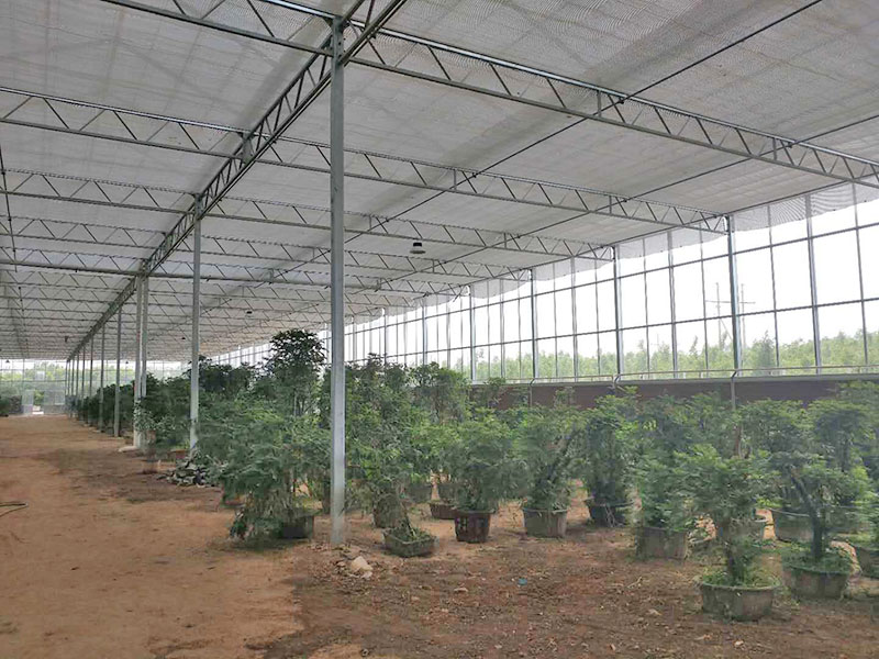 溫室大棚如何提高化肥利用效率？